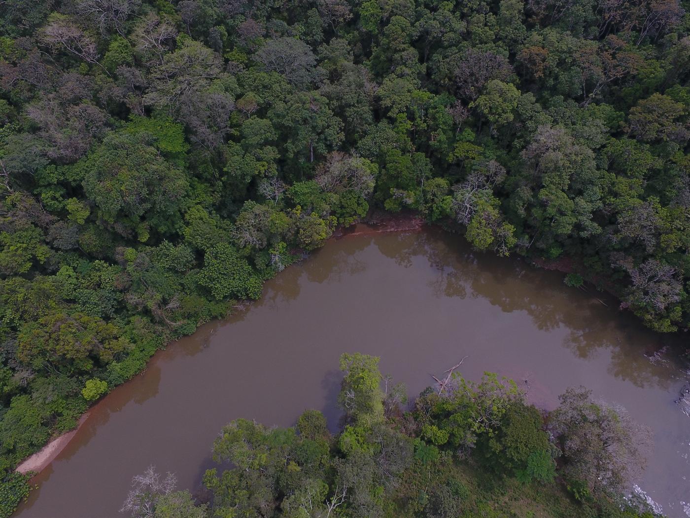 Rio Açungui visto de cima, cercado de mata nativa
